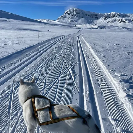 Cozy With Trail Access * Beitostolen