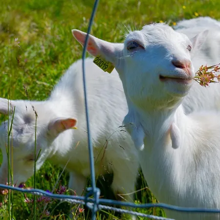 Cozy With Trail Access *